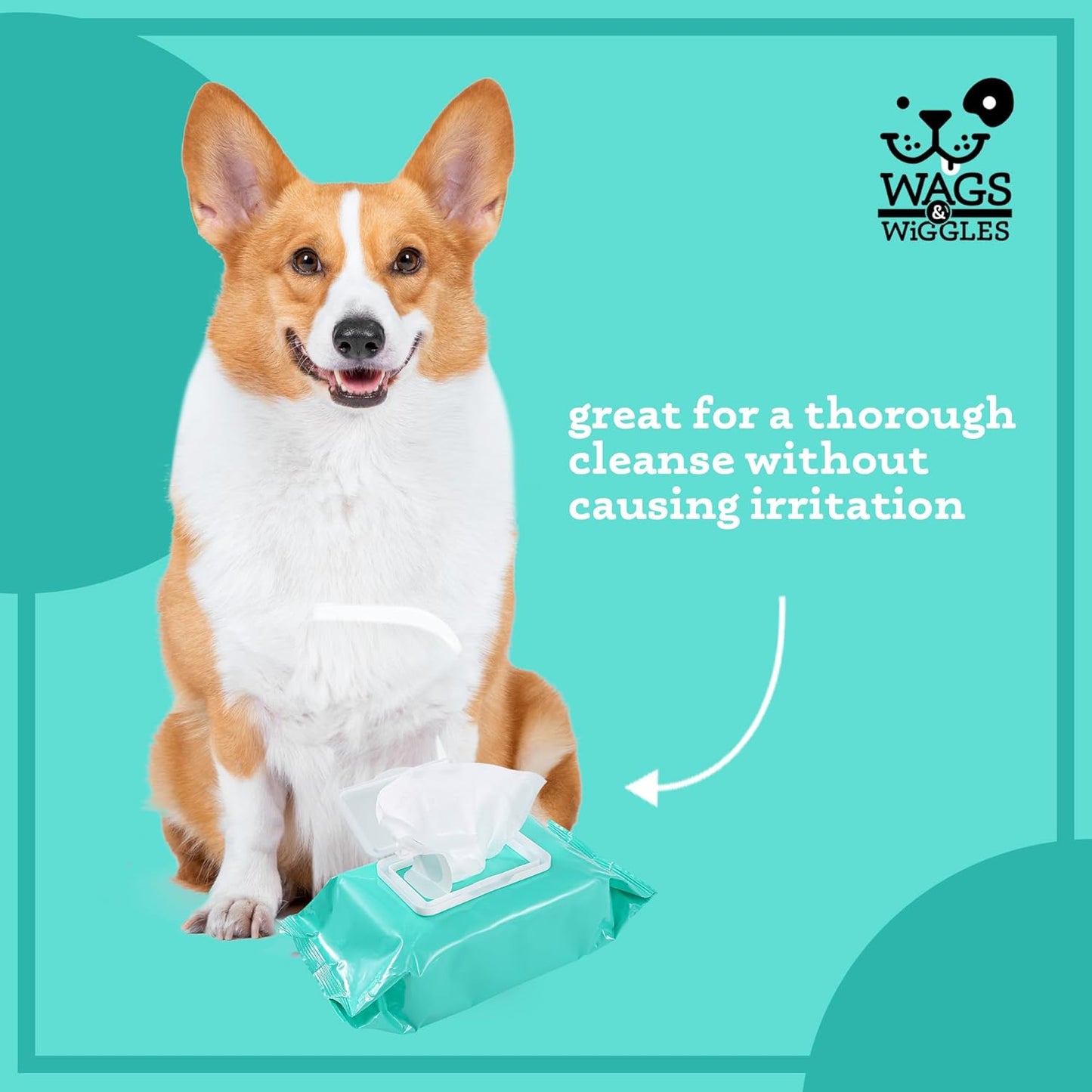 Wags & Wiggles Hypoallergenic Cleaning Wipes 100 ct | Hypoallergenic Dog Wips 100 Count Package | Fragrance Free | Waterless Bathing to Keep Pets with Sensitive Skin Clean (FF22031)